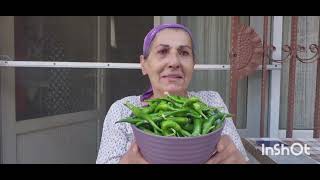 Yemek, Bahçe, Sohbet Ve Biber Hasatı