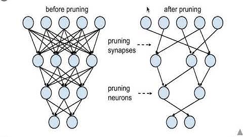 Tutorial 12 | Deep Learning on Computational Accelerators