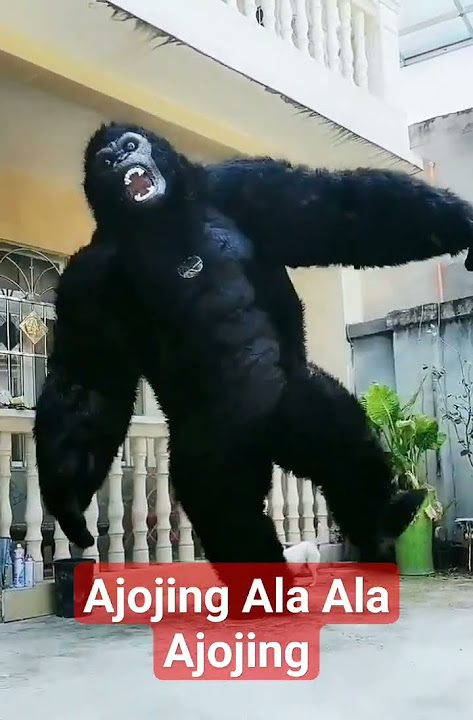 Gorilla Joget lucu | Ajojing Ala Ala Ajojing #shortsvideo #shorts