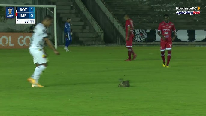 Gato preto invade campo durante Santos e Atlético-MG; veja