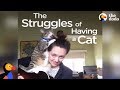 Every Cat Owner Knows These Struggles | The Dodo