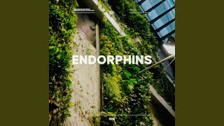 Endorphins - MPH