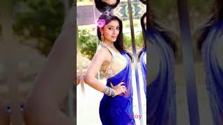 Beautiful Actress Sriya Saran With Saree Look