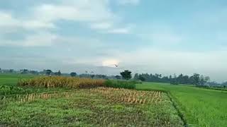 Pagi Hari Di Tengah Sawah 18 Khusus Dewasa