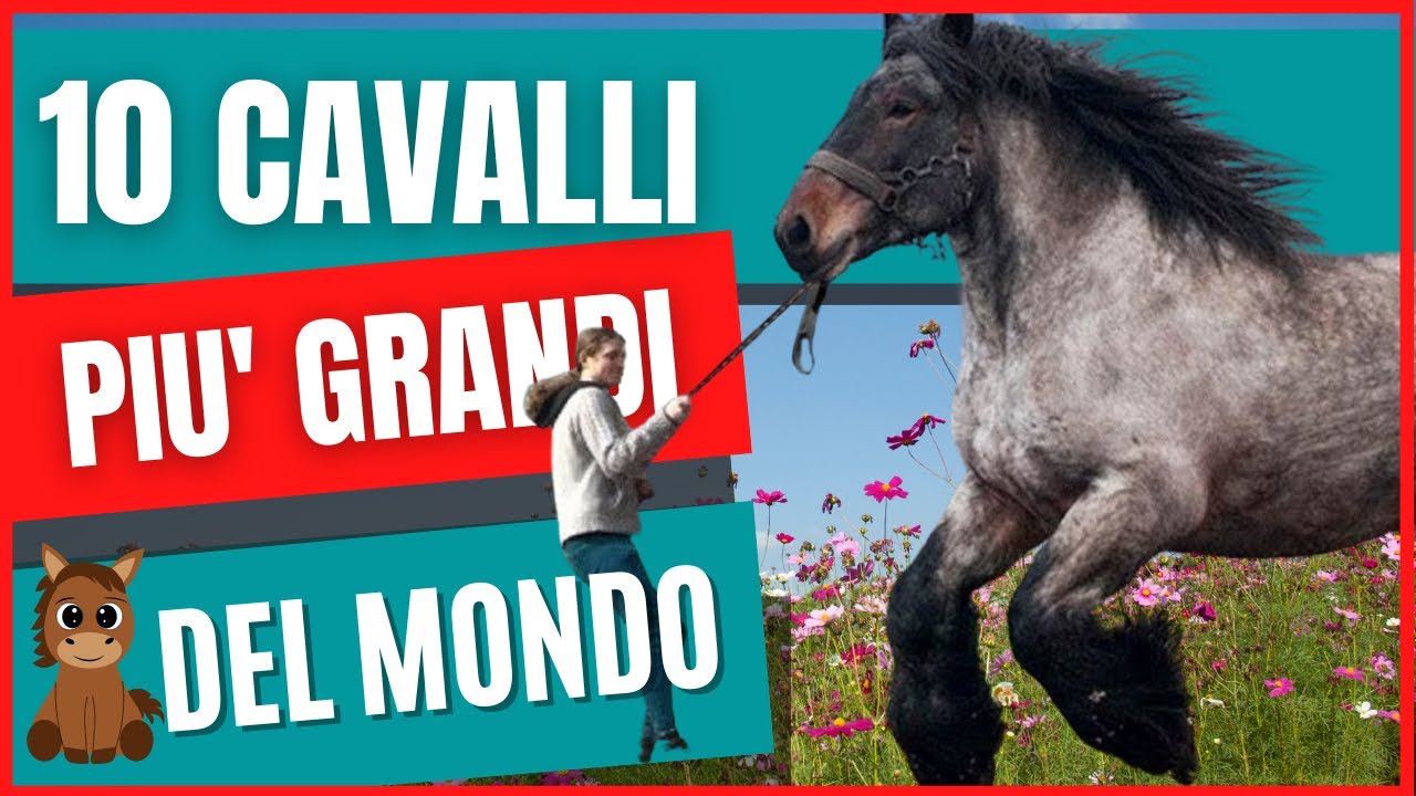 cazzi piu grandi al mondo