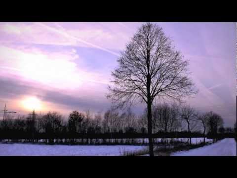 Winter Sun  – detail.videoPreview