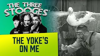 The THREE STOOGES  Ep. 79  The Yokes On Me