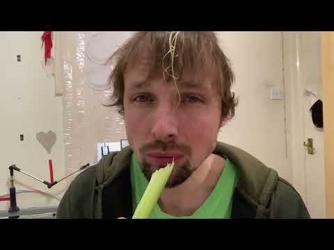 How to eat celery and hum at the same time