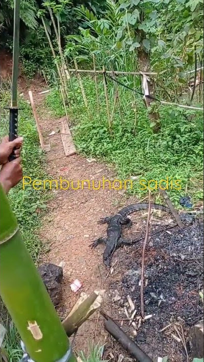 pembunuhan maling ikan terekam hp warga