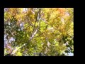 クムヨン(민금용)☆Bye Bye Byeチャン・グンソク)