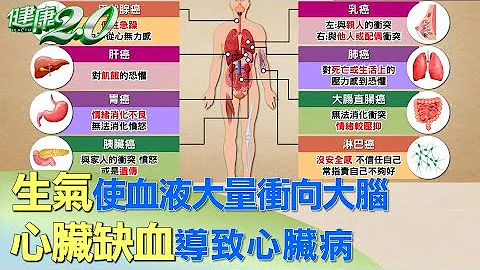 生气使血液大量冲向大脑 心脏缺血导致心脏病 健康2.0 - 天天要闻