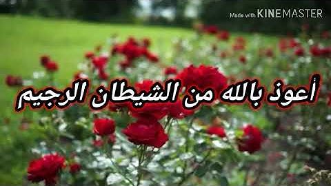 قراءة عطرة لسورة يوسف بصوت عبد السلام