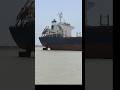 Tug Boat Pulling Giant Ship 😱🚢⚓ #merchantnavy #ship #bigship #kandlaport