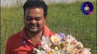 Dt9 అమ్మవారి పూజ కోసం తాజా కలువ పూలు 