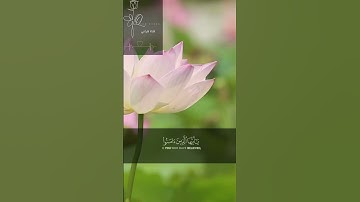 سعود الشريم شاشة سوداء سورة الأحزاب إن الله وملائكته يصلون على النبي