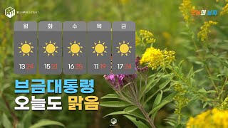  햇살가득 신나는음악 오늘의 날씨 브금대통령은 오늘도 맑음 