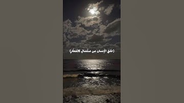 فيها فاكهة والنخل ذات الأكمام || حالات واتس اب دينية مقاطع قصيرة // القارئ جابر القيطان #قرآن #quran
