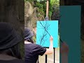 The process of making beautiful paintings on a special material