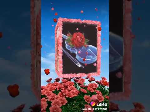 الورود لا تهدى إلا للأحباء صباح الووورد 