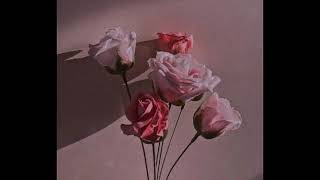 luminary   slowed to perfection joel sunny