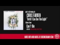 Chris Farren - Until I Can See The Light (Official Audio)