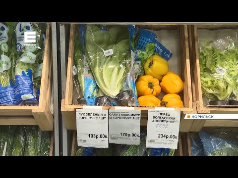 Жители Норильска рассказали, сколько денег тратят на продукты питания