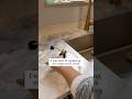 Under Sink Soap Dispenser Hack That Saves So Much Time