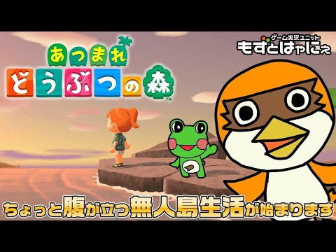 🐤あつ森 #13🐸8時にもずベエ起こします！ハヤニーのひがん島！ド初見「あつまれどうぶつの森」【もずとはゃにぇ】