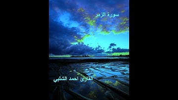 سورة الزمر للقارئ احمد الشلبي