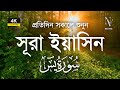 মন হবে প্রশান্ত | প্রতিদিন সকালে শুনুন সূরা ইয়াসিন | Surah Yaseen | Alaa Aqel | Nice Voice
