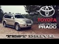 Тест драйв Toyota Land Cruiser PRADO 4.0 / Drive Time