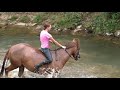 MILL CREEK HORSE SWIM