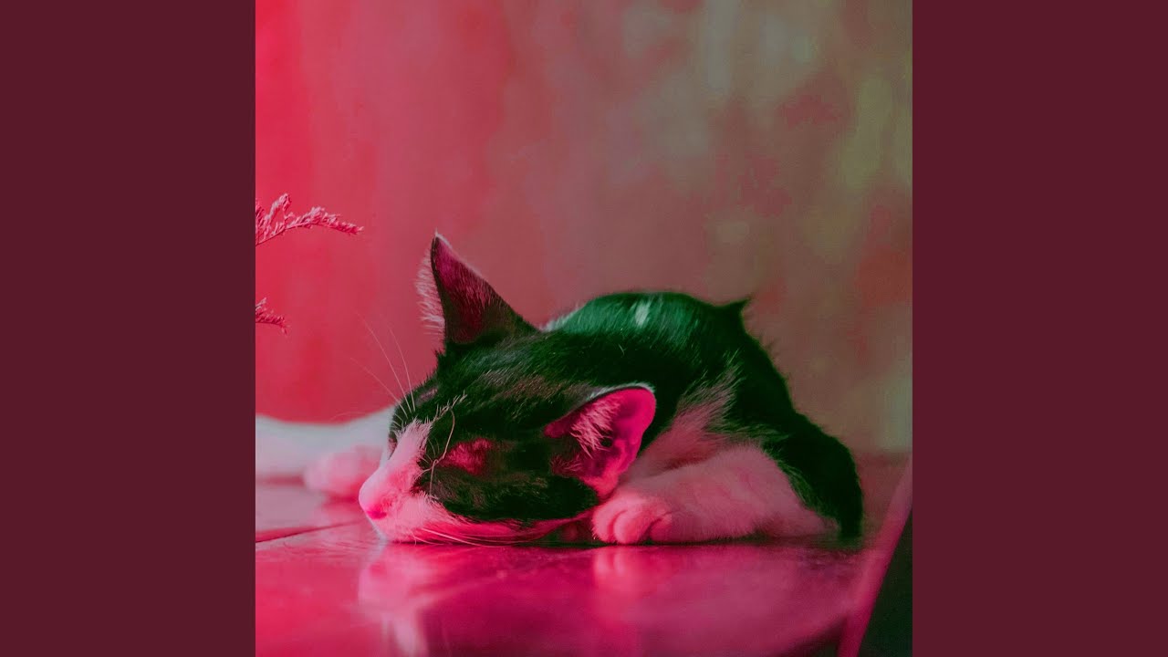 Sleduj Ambient Relaxation Flow na YouTube