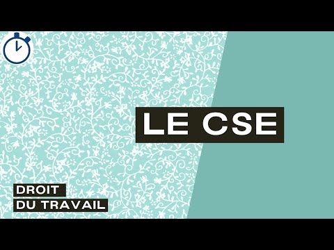 Le CSE : [Droit du travail]