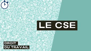 Le CSE : [Droit du travail]