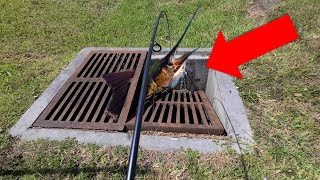 CRAZY SEWER FISHING!!!