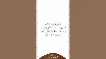 تلاوة في دقيقة | سورة النجم | الآيات من ٢٧ إلى ٢٨ | الشيخ فيصل غزاوي