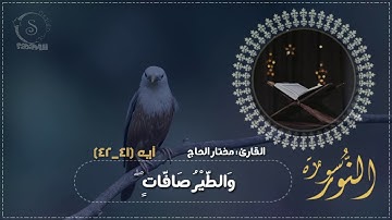 سورة النور _آيه(٤١-٤٢)