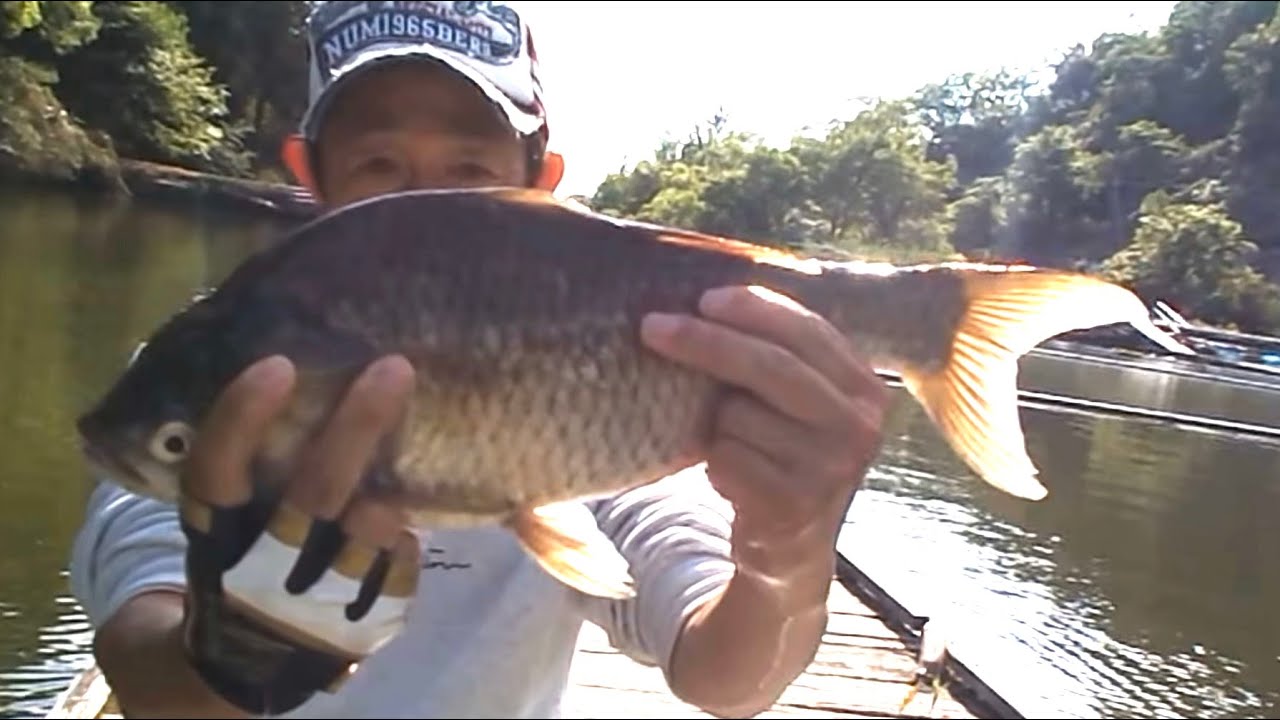 大会終了後！竹垣様46.5cm釣り上げミカンハチミツゲットおめでとうございます！