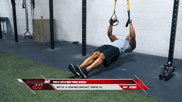 Phase 3 - Day 2 - TRX Inverted Row