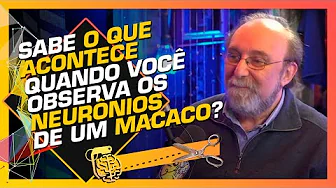 imagem do youtube