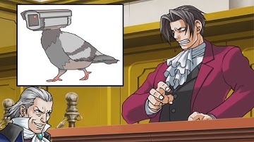 Are Birds Real? (Objection.lol)