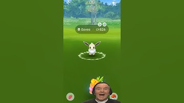 🔥 Catching the highest iv and cp eevee in Pokemon go | #shorts #Pokemongo #communityday #shorts
