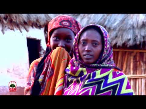 Barraaqa Bara Haaraa Qabiyyee Haaraan