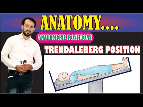 Trendelenburg position | Anatomical Positions | Explained Practically | Learn conceptually