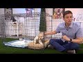 Zak George and the Potty Training Puppy Apartment - How to Potty Train a Puppy