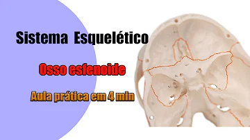 Que tipo de osso e O Esfenoide?