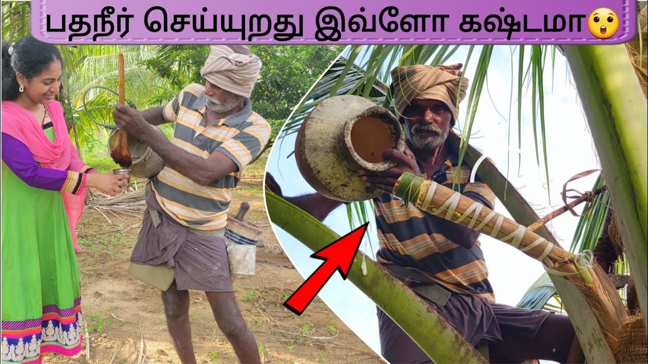 🌴அடேங்கப்பா பதநீர் செய்யுறதுல இவ்ளோ இருக்கா ??🤔 | Pathaneer Making ...