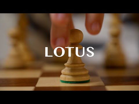 LOTUS (portret) - Ponyvalent Productions