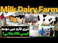 How Milk Is Made ? Modern Dairy Farm Technology | Food Factory of Pakistan